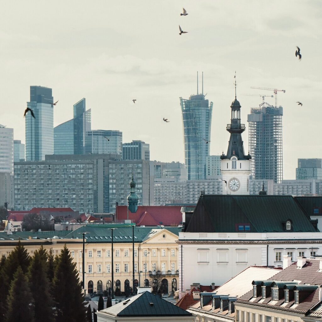 A city skyline with birds flying in the sky
