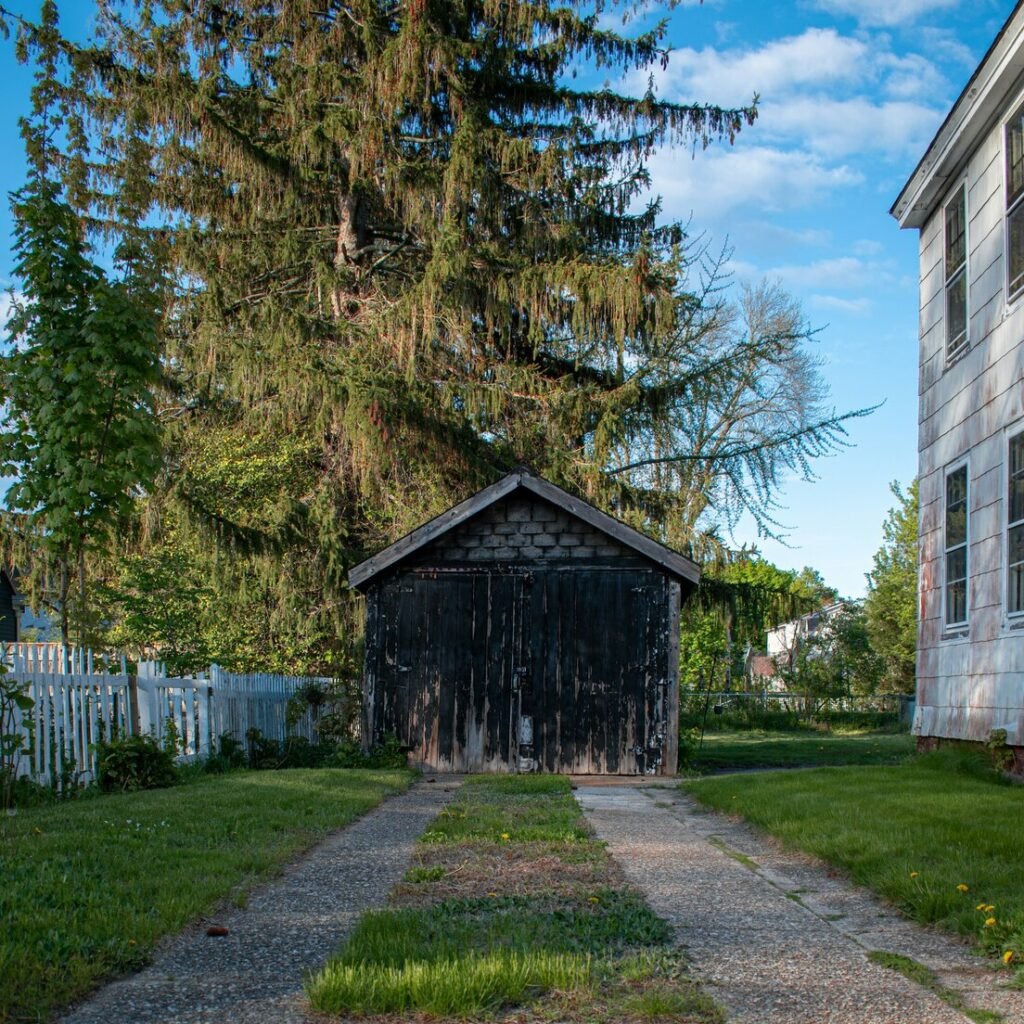 Old shed, house, and tree in a sunny landscape