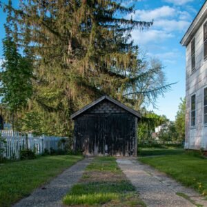 Old shed, house, and tree in a sunny landscape