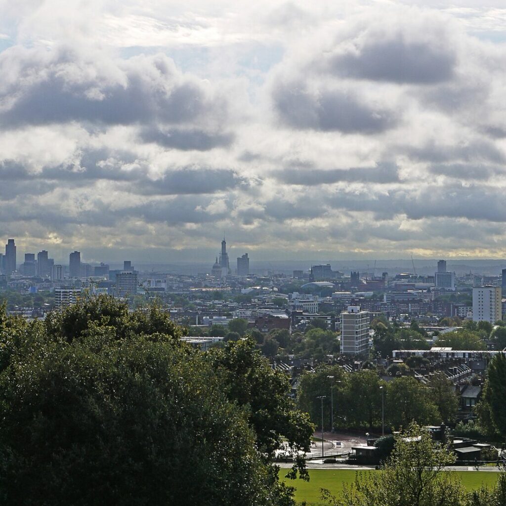 City skyline viewed through trees under cloudy sky