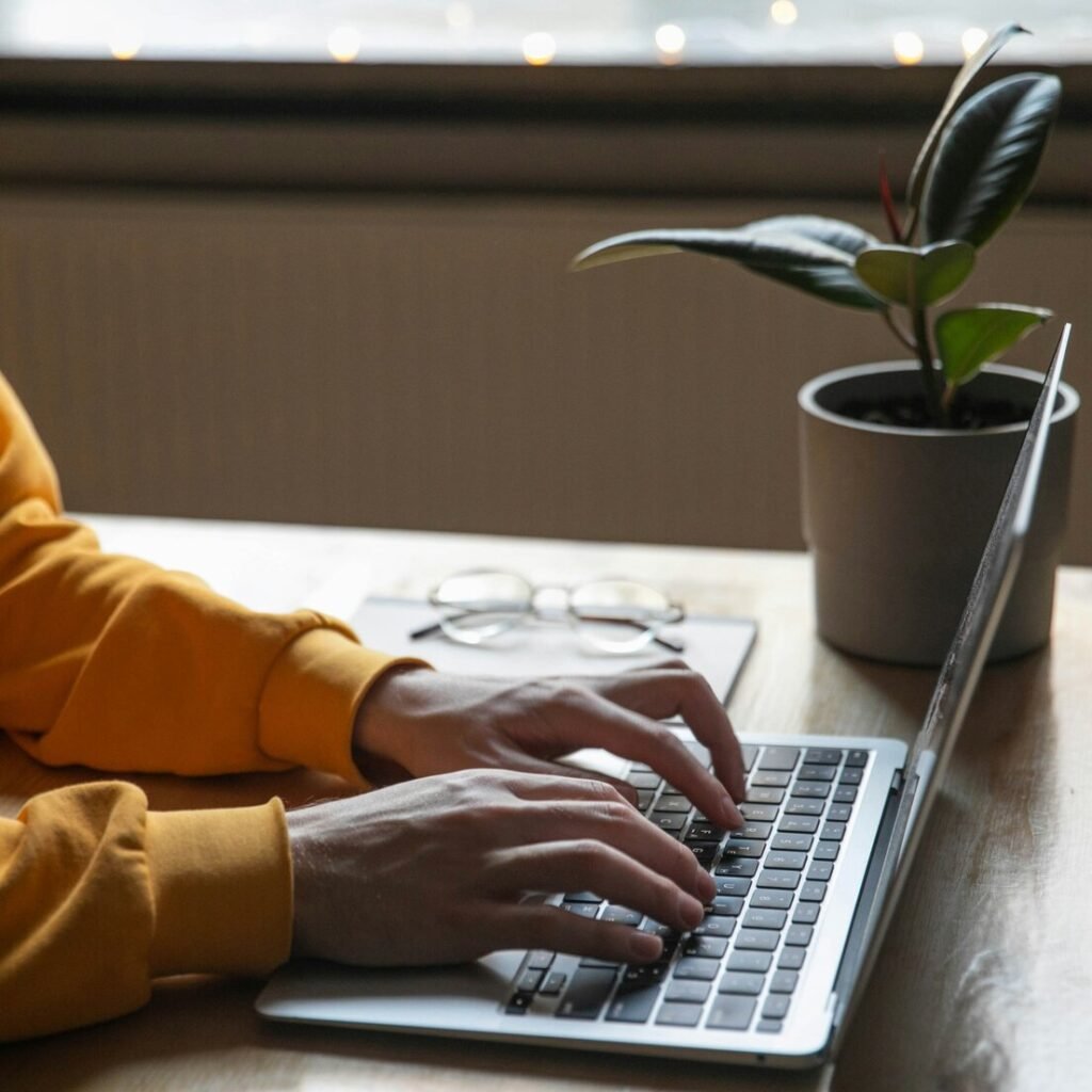 Person typing on a laptop at a desk next to a plant